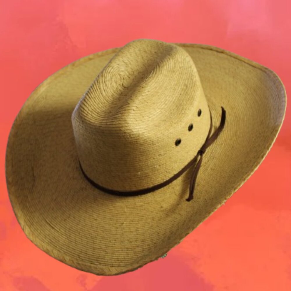Lone Star Cowboy Hat